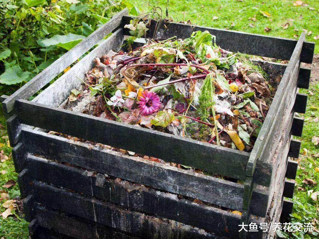 用废弃的篮子、托盘都能制作堆肥, 新手也能制作