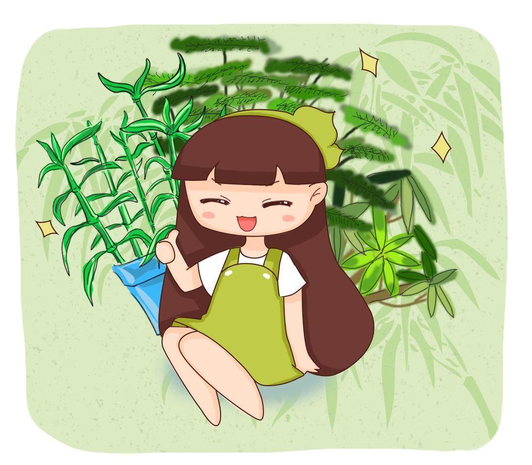 这8种竹子, 个个都是聚宝盆, 养一盆就够了!
