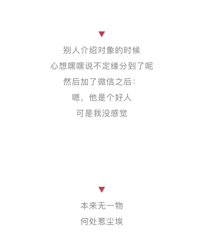 不会喜欢任何人了是一种怎样的体验?