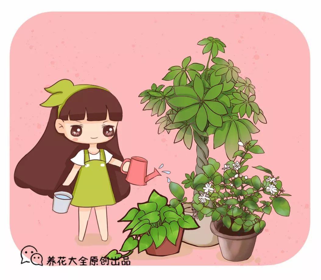 夏天1盆水浇不好, 2天花就死翘翘, 后悔都来不及!