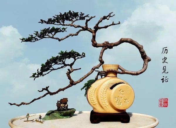 70岁大爷, 捡破酒瓶种花, 多少钱也不卖!