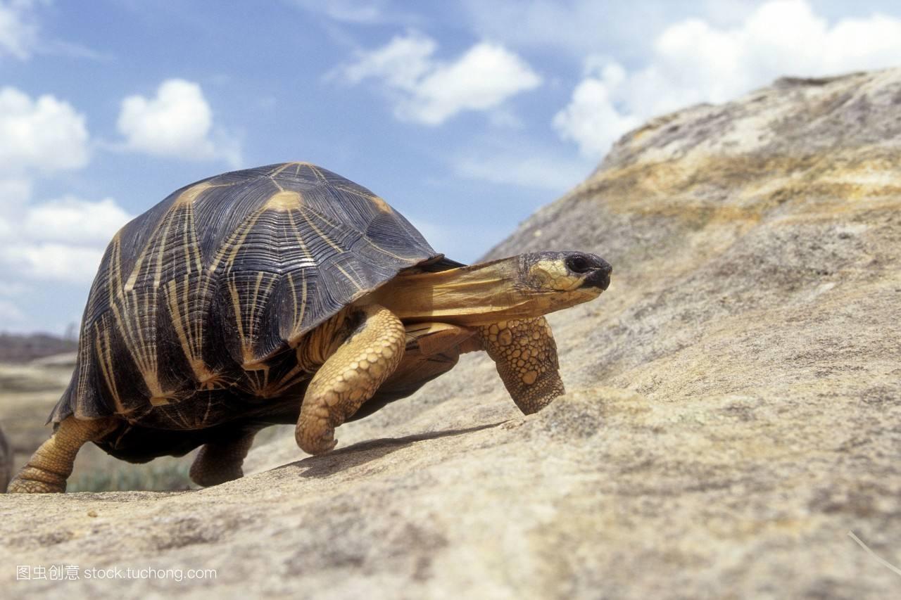 清朝有一举人，喜欢嘲弄他人，一