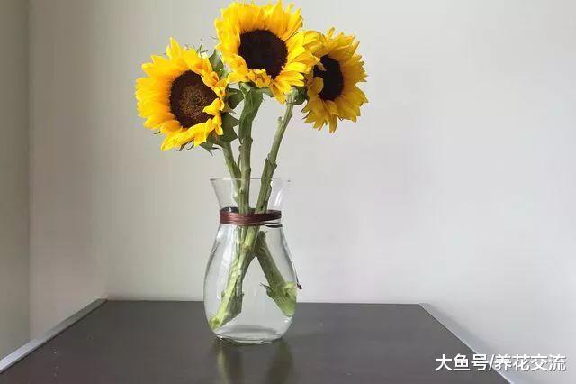 常见10种切花的保鲜期限, 你更喜欢哪一种花呢?