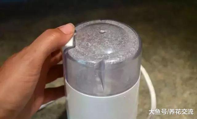 用鸡蛋壳来控制植物花卉的害虫, 不用药物也能防治病虫