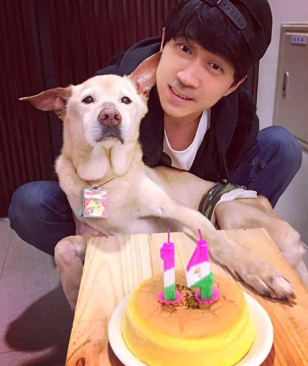 光良发文怀念爱犬 温情陪伴鼓励高考考生