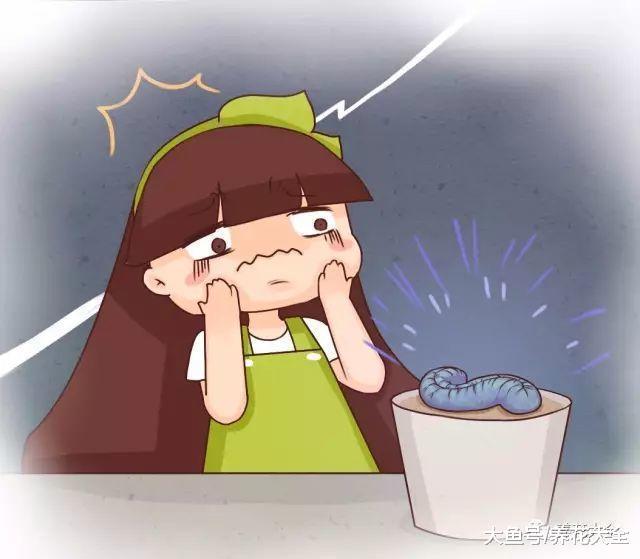 见惯了萌萌哒的多肉, 但这些能认识一种就很厉害了!