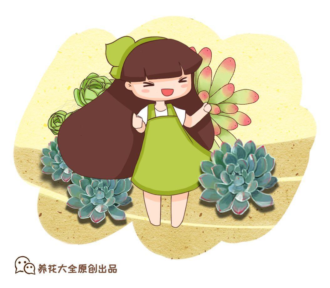 10种肥嘟嘟的多肉, 拳头大小, 听名字就流口水!