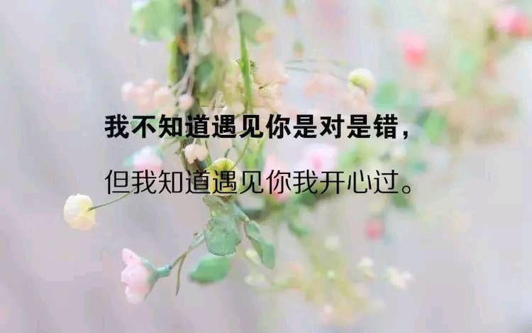人生感悟的心情句子, 句句精辟, 看完让你受益匪浅