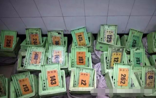 他们每天数钱数到手抽筋, 每个人手上都贴满创可贴, 对钱很厌恶