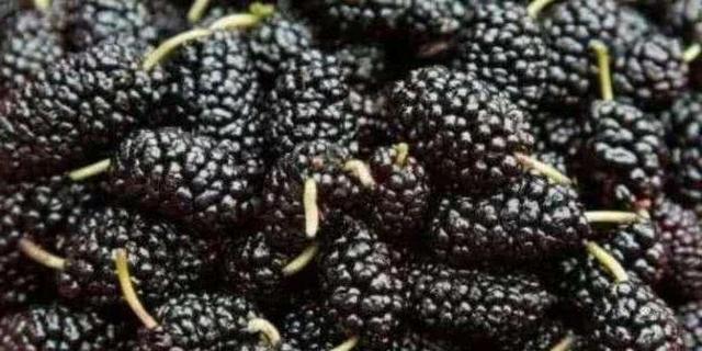 经常失眠, 身体吃不消! 天然的“安眠药”, 常吃调理身体睡得好