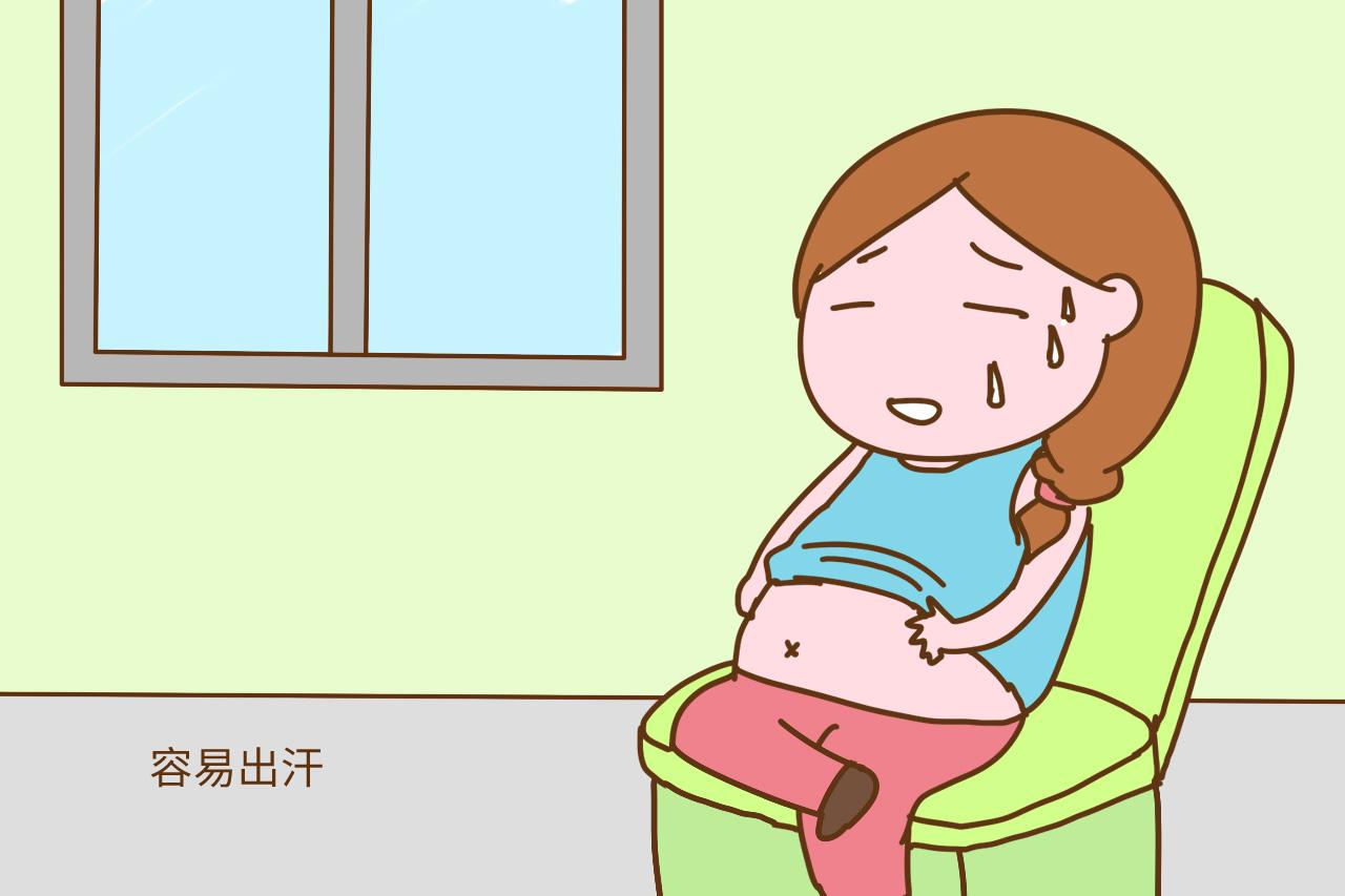 孕妈尤其招蚊子喜爱? 这些方式对胎儿和孕妈都有危害, 不能太大意