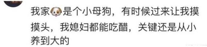 女友经常吃多肉的醋, 女朋友爱吃醋是种什么体验? 有女朋友就不错了还挑什么