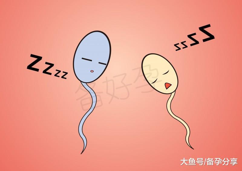 精子质量差影响怀孕吗? 怎么办?