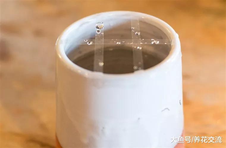 用这个方法你就能像园艺师那样在包装花束了, 一个瓶子就足够