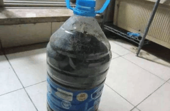 柚子好处多, 家里的花也爱吃, 拌土里就是养花肥!