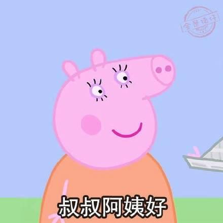 距离和七大姑八大姨战场交锋仅剩一个星期了, 教你如何正面反击