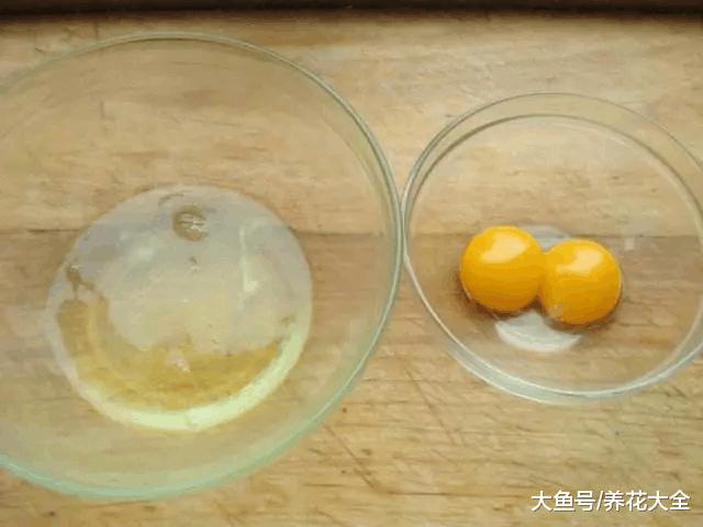 打个鸡蛋扔花盆里, 3年不用施肥!