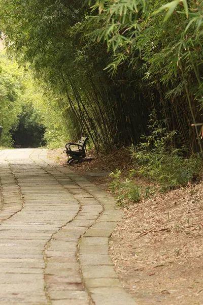 这几个植物园, 有花有水看不够, 比空调房还舒服!