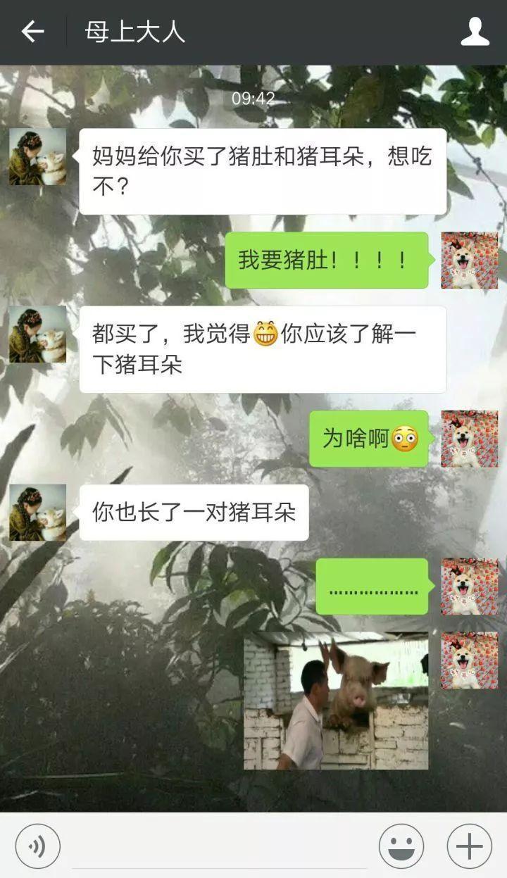 甜蜜情侣撩人的套路情话! “弯了跟我吱一声”“弯你妹啊”