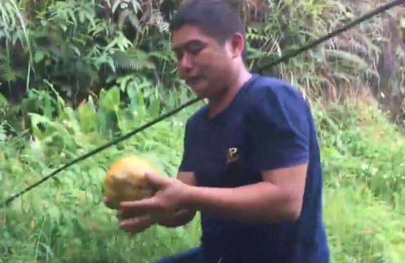 农村小伙进山放牛, 在树上发现我黄色的东西, 他激动的流口水