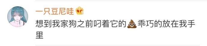 猫主子: 爱你就要给你最好的