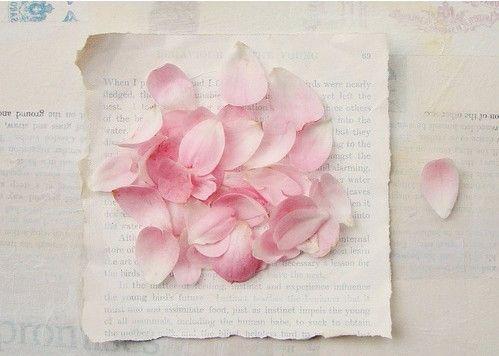 这十句话, 是用来保持坚强和淡定的