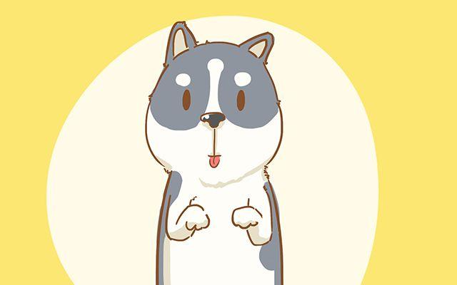家里添了小宝宝宠物就要送人? 主人要能做到这3条那就接着养