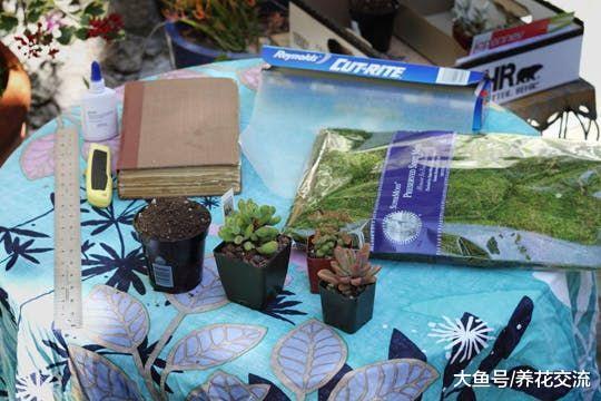 废弃的书本用这些方法就能改造成桌面盆栽, 文艺小清新的观赏多肉