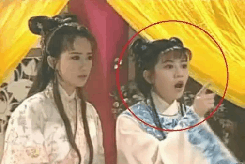 她是台湾美女, 贾静雯曾为其作配, 出家为尼一年后为养家再度复出