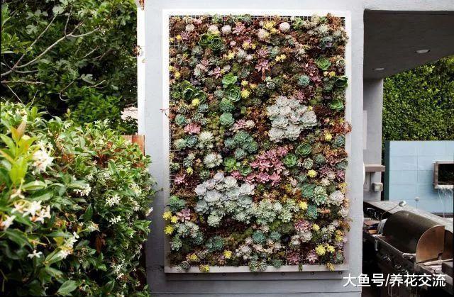 花费最少的钱来打造一个植物墙, 你需要准备这些东西