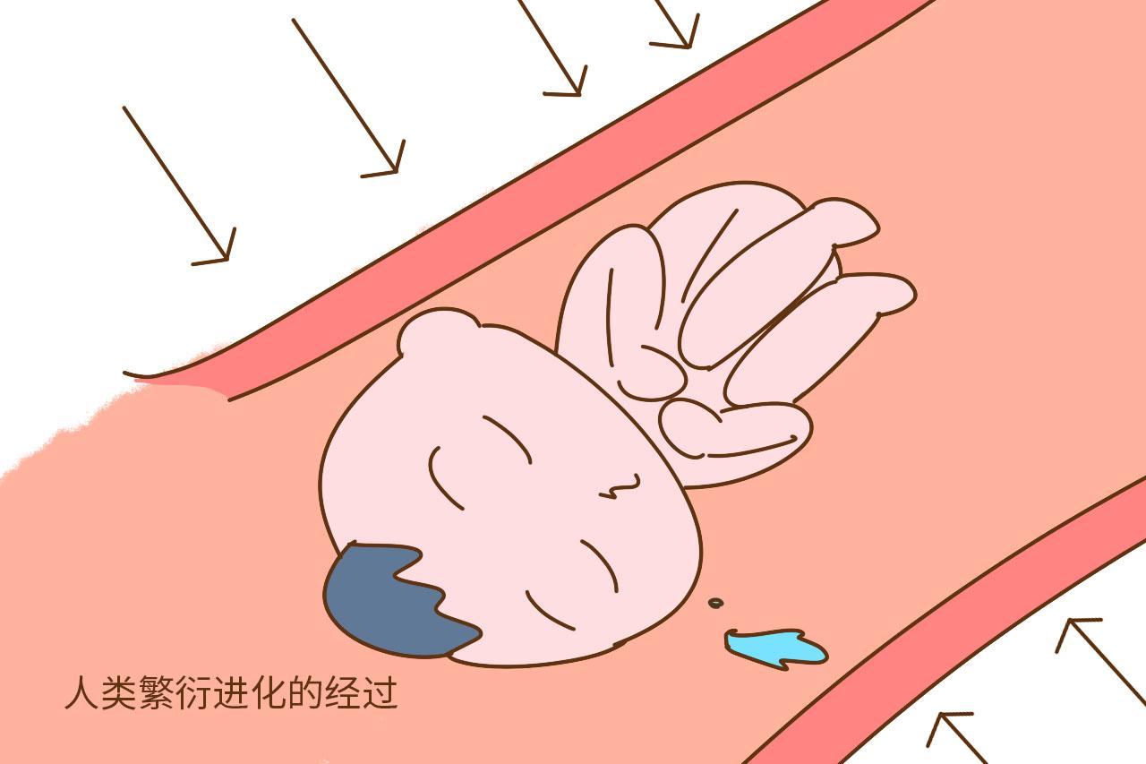 没有经过产道挤压的孩子身体更加敏感, 该怎么办你知道吗?