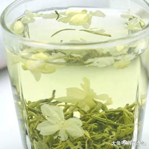 爱喝茶的你, 不如养养这5种花, 以后再也不用买茶叶了!