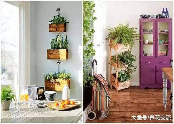 室内养护盆栽花卉的9个创意, 节省空间, 装饰清新家居