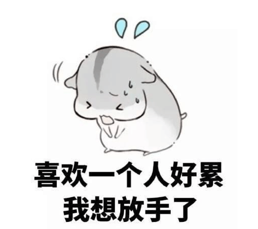 喜欢一个的全过程, 不就是你个傻子嘛?