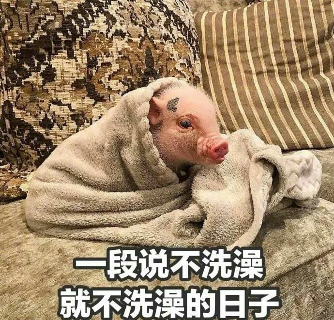 中国人假日越来越多了, 这大概就是放假的意义吧