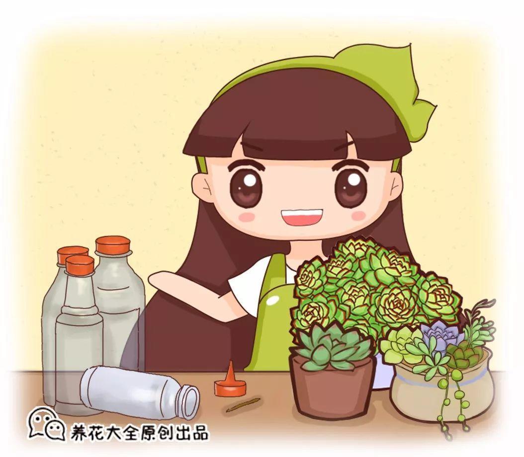 扦插别用土, 剪根枝扔进塑料瓶, 大白根呼呼冒!