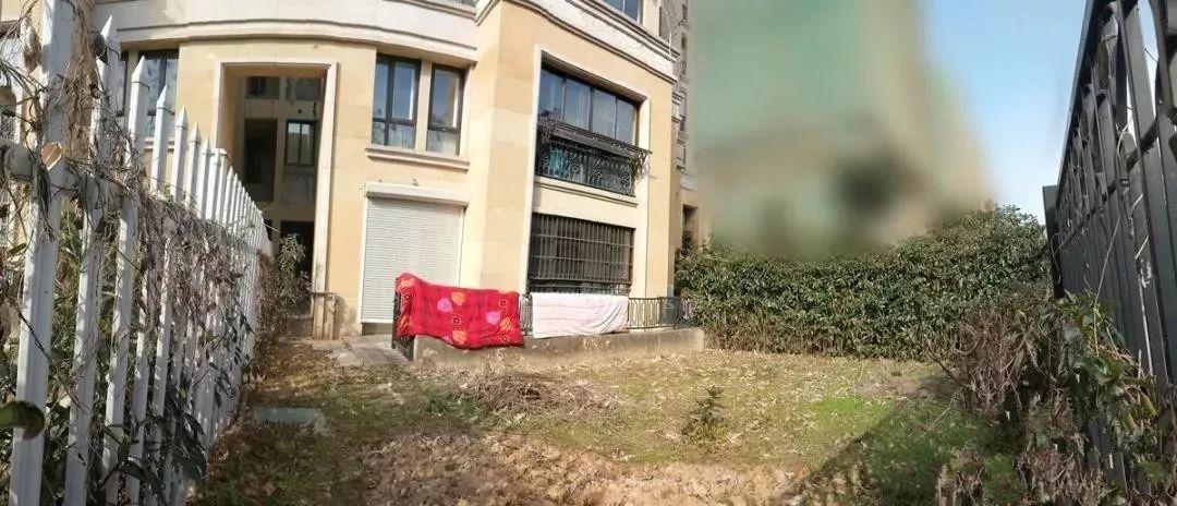 她把租来的房子, 建成大花园, 生活再累也要取悦自己!