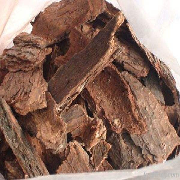 捡点“黑皮”养花用, 放土里“增肥”透气, 植株不黄叶!