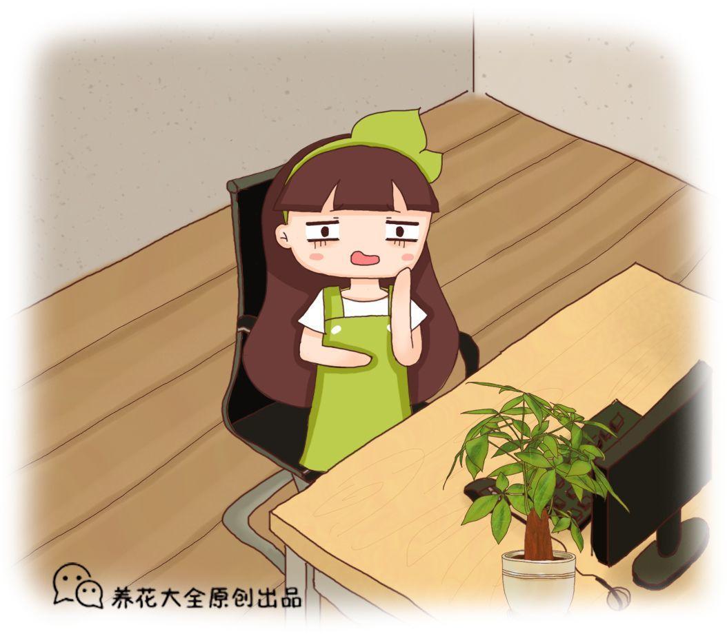 屋里甲醛超没超标, 看花就知道, 一萎蔫赶紧通风!