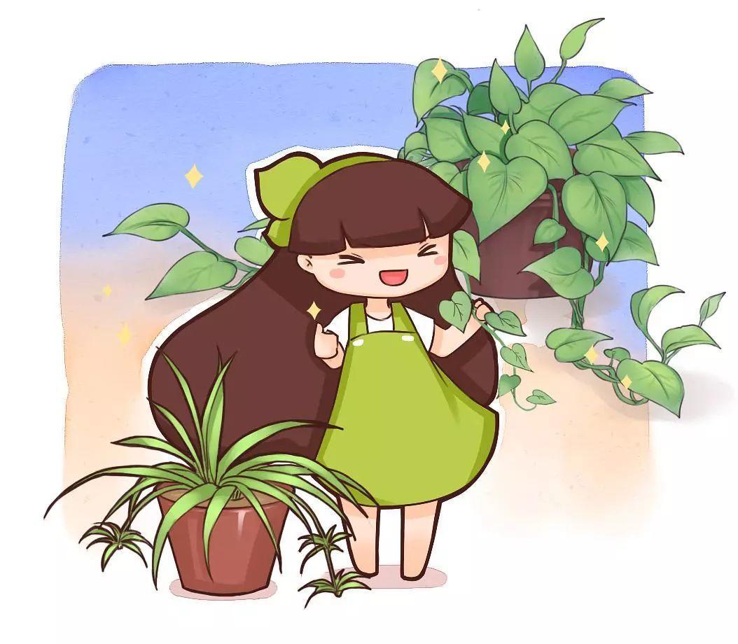 这7种花最好养, 提神又醒脑, 办公室必备!