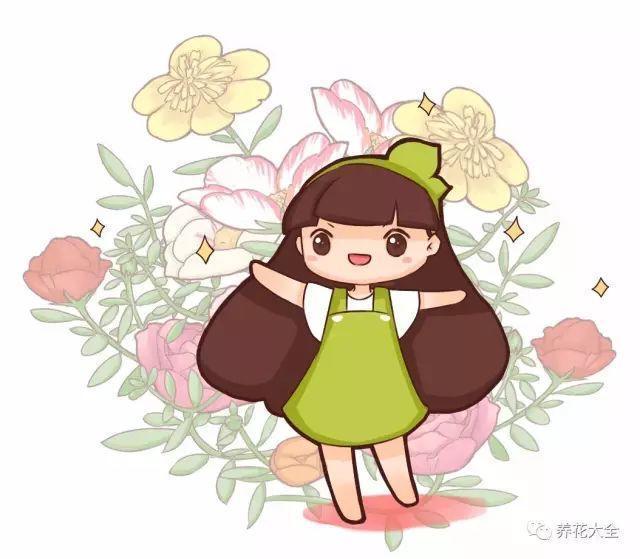 死不了的太阳花, 这20多个品种, 掐个枝就能活!