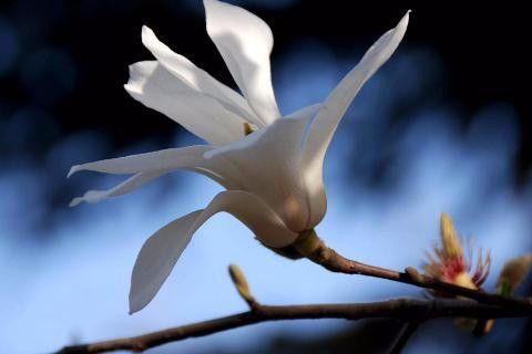 也许你体会不到这十句话的魅力