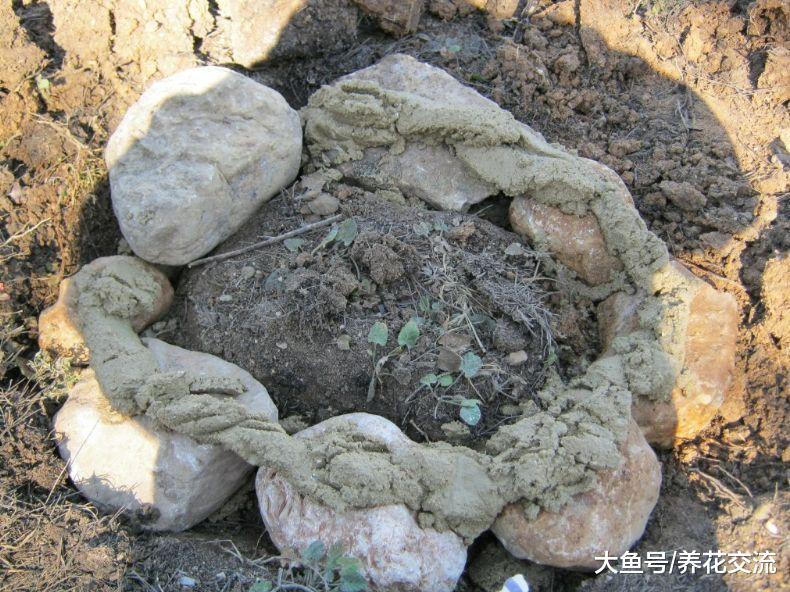 用捡来的一堆鹅卵石制作成靓丽的花坛和花盆, 用来种花太美了