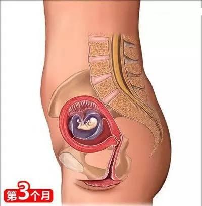 小两口从怀孕到生娃, 你一定要懂的26个母婴常识!