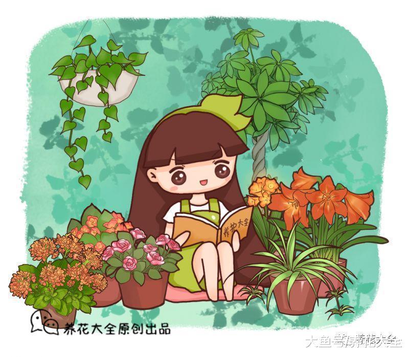 养花宝典就在这, 只要记住了, 下一个养花高手就是你!