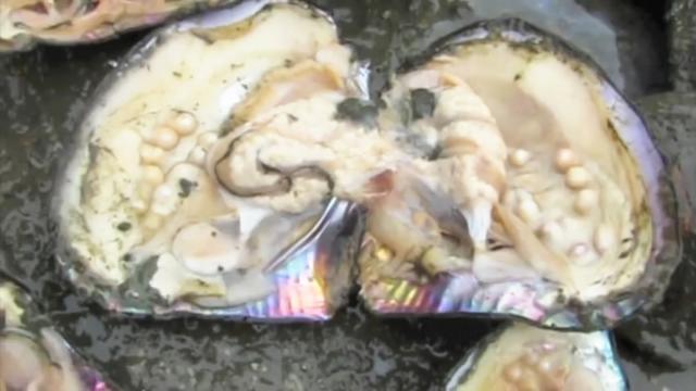 女子海边散步捡到大贝壳, 打开一看, 却是让她喜出望外