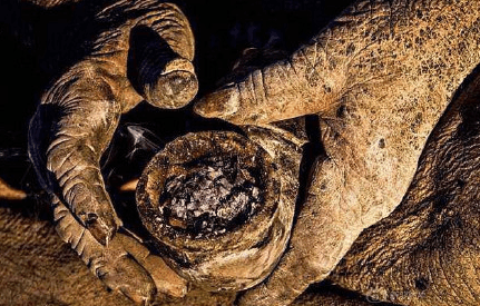 2012年，伊朗。南部村庄有8