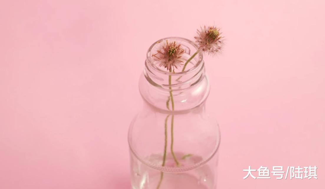 唐僧夫妻28年婚后生活曝光: 愿能陪伴你, 独立又亲密
