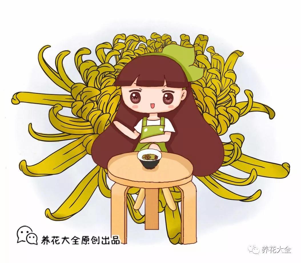 这6种“养生花”, 秋天湿气寒气全吸走, 家里有老人必备!