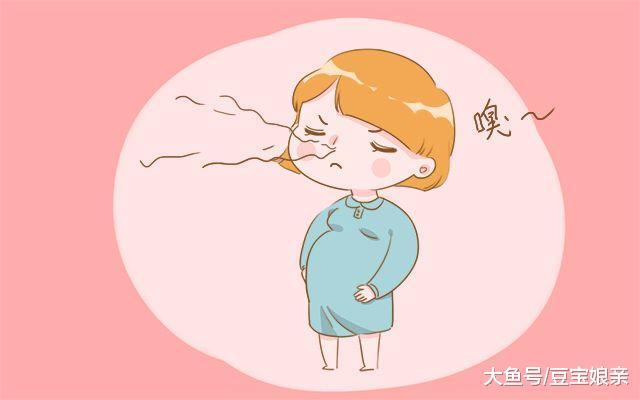 为什么狗狗总喜欢扑孕妇? 都是身上这种味道惹的祸